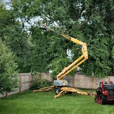 How Our Tree Care Process Works  in  Attica, IN